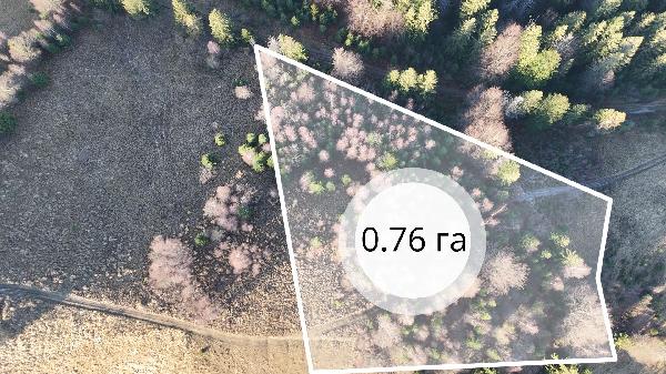  - фото нерухомості